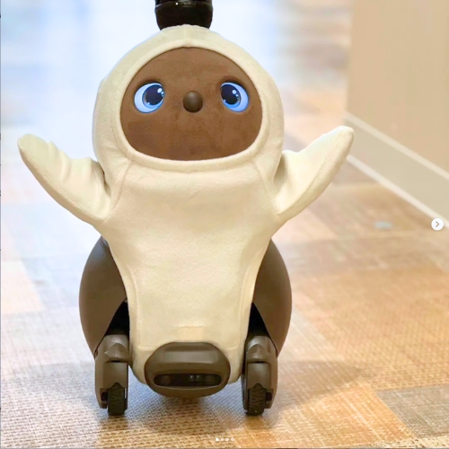 さくら会のスタッフ